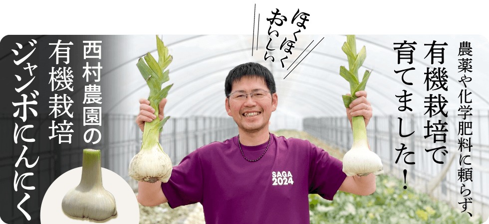 西村農園の有機栽培ジャンボニンニク