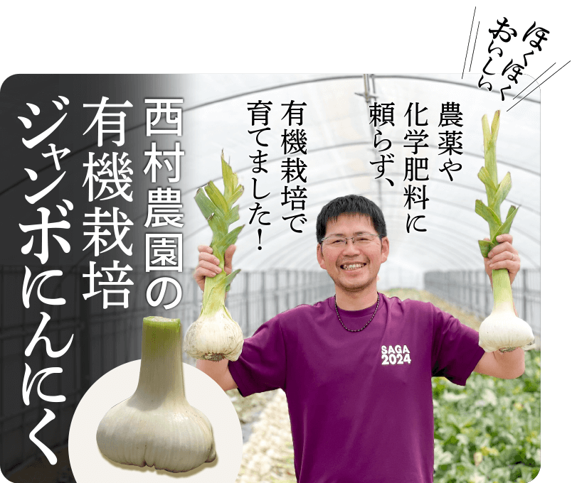 西村農園の有機栽培ジャンボニンニク