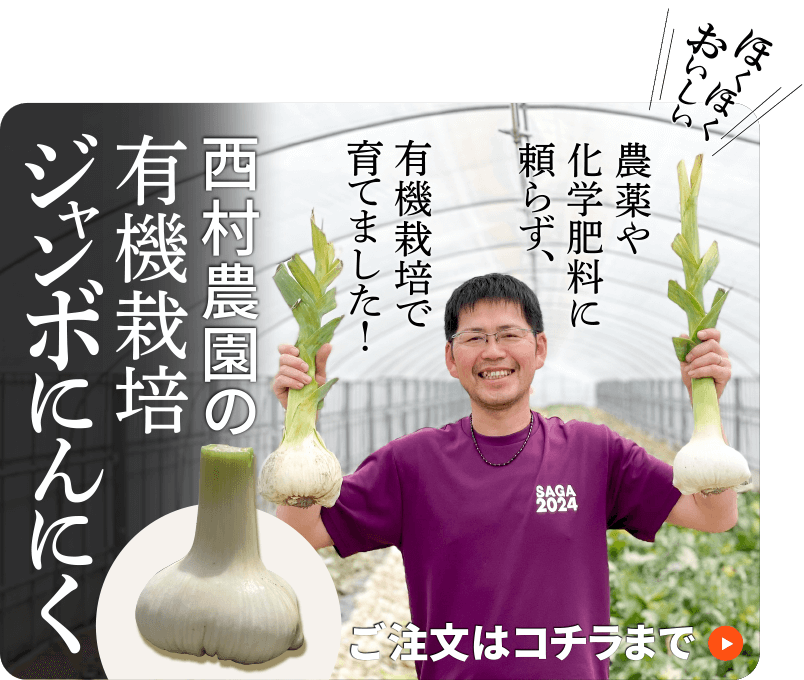 西村農園の有機栽培ジャンボニンニク