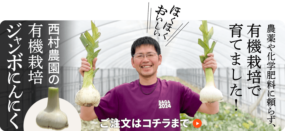 西村農園の有機栽培ジャンボニンニク