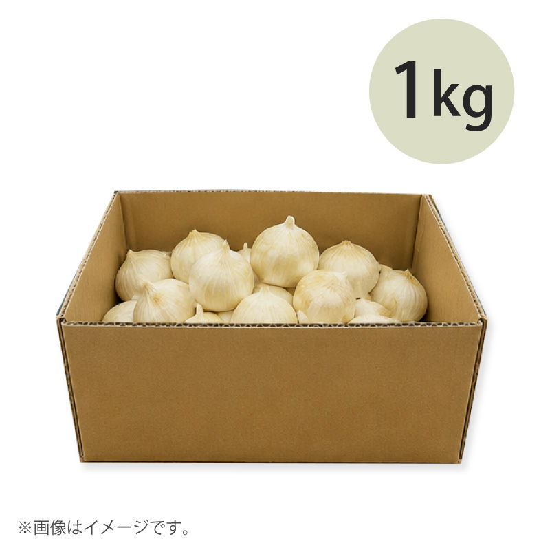 有機栽培ジャンボニンニク・バラ１kg(箱入り)