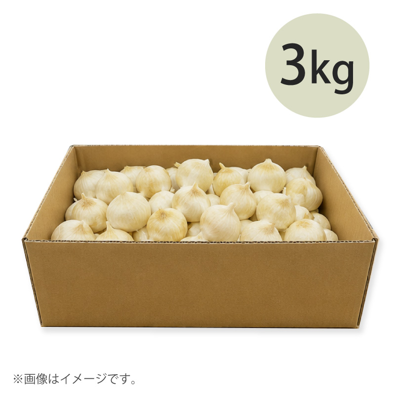 有機栽培ジャンボニンニク・バラ3kg(箱入り)