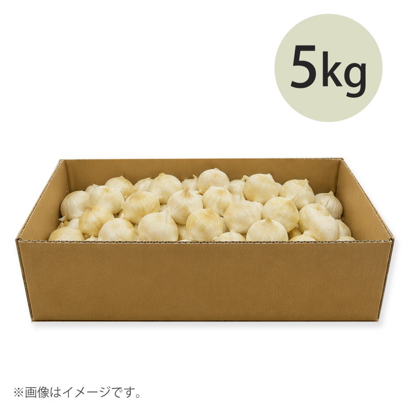 有機栽培ジャンボニンニク・バラ5kg(箱入り)
