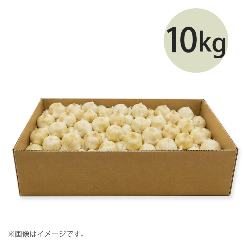 有機栽培ジャンボニンニク・バラ10kg(箱入り)